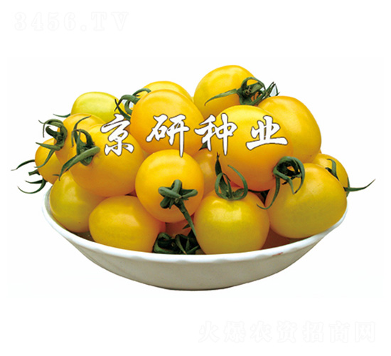 С�S��-���ѷN��-����