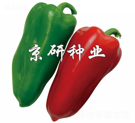 ��(gu��)��101-�����N��-����