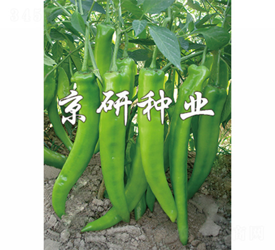 ����208-�����N��-����