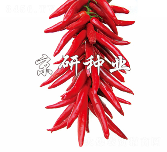 ����2̖-�����N��-����