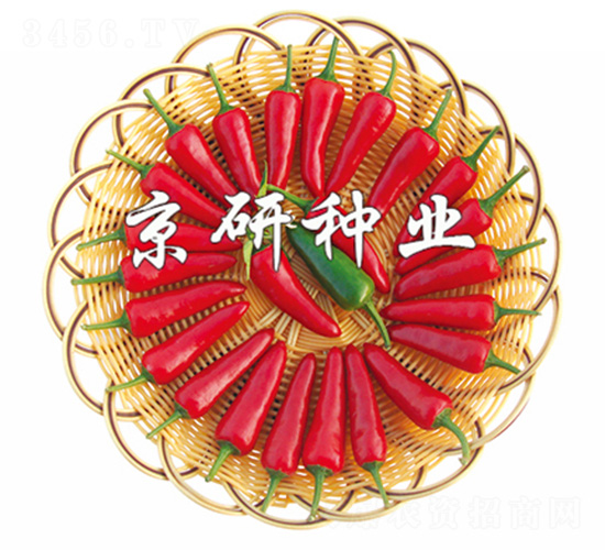 ����106-�����N��-����