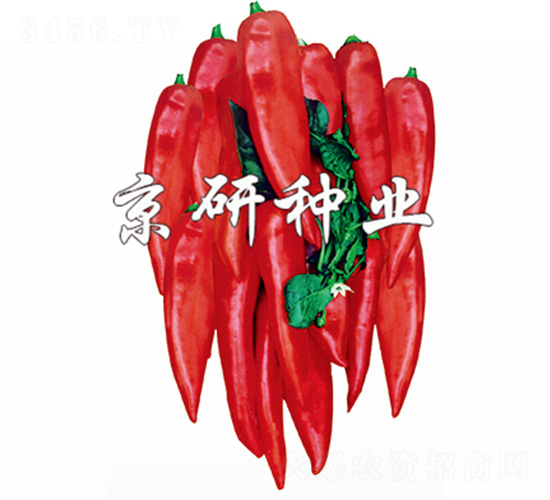 �t��-�����N��-����