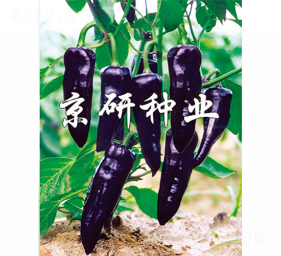 ����-�����N��-����