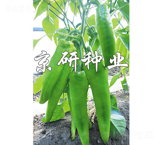 ����910-�����N��-����