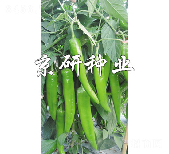 ����218-�����N��-����