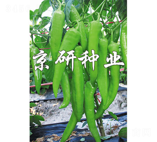 ����912-�����N��-����