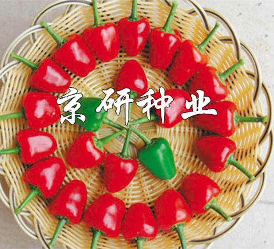 ��(gu��)��166-�����N��-����