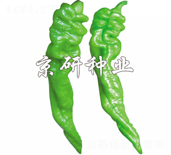 ����5̖(h��o)-�����N��-����