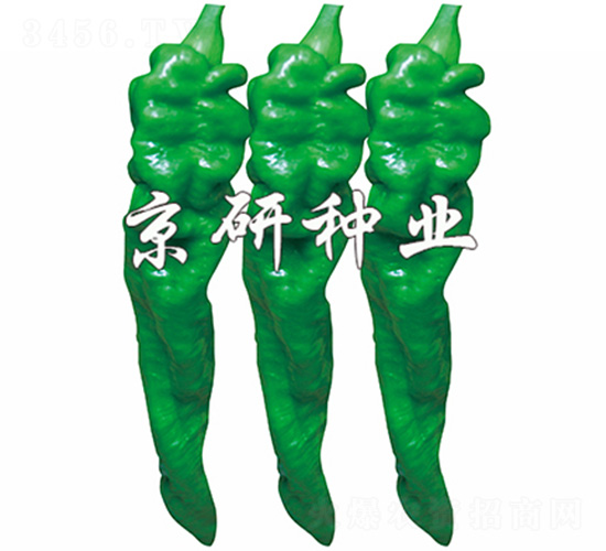 ����103-�����N��-����