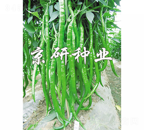 ����2̖-�����N��-����