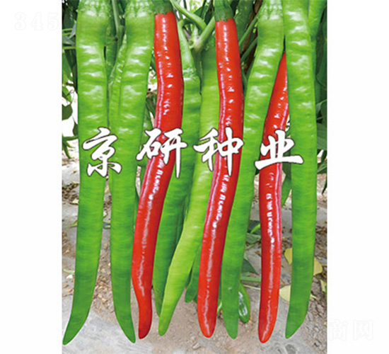 ����4̖-�����N��-����