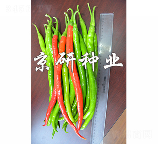 ����114-�����N��-����