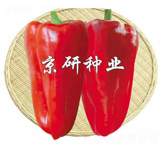 ���T4̖-�����N��-����