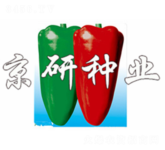 ���T89-�����N��-����