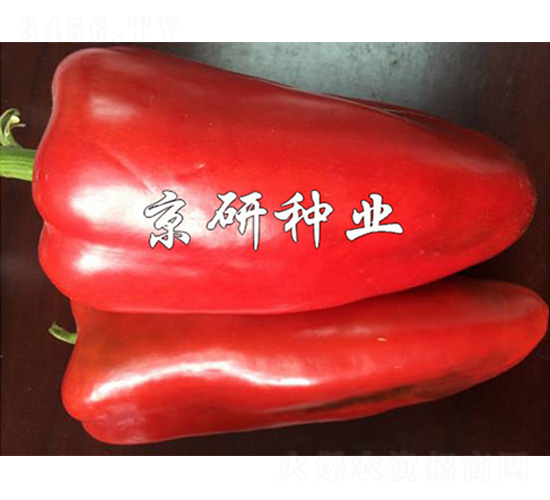 ���T160-�����N��-����