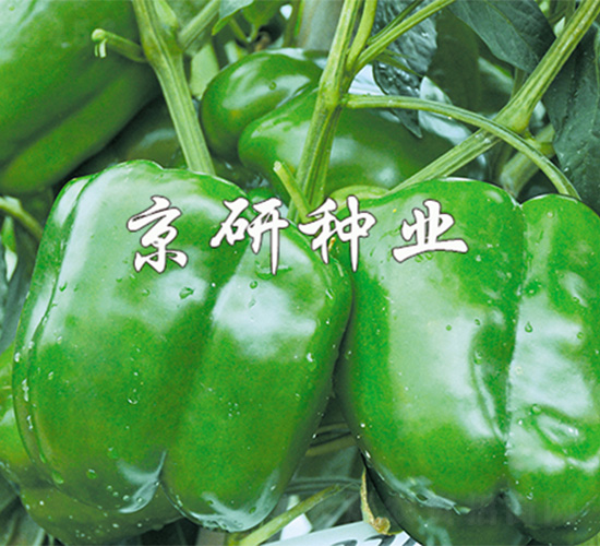 ����4̖(h��o)-�����N��-����