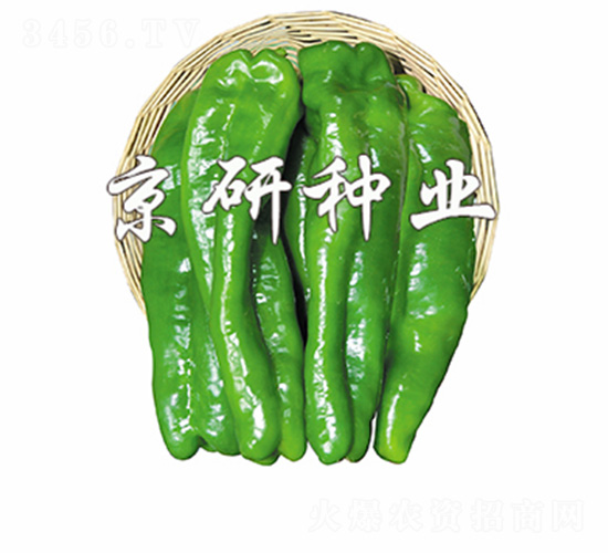 ���J-�����N��-����