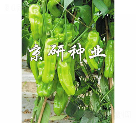 ����165-�����N��-����