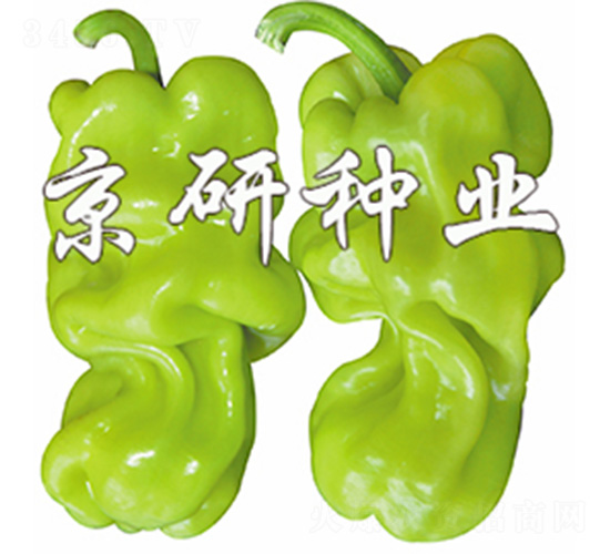 ��Ƥ1̖-�����N��-����