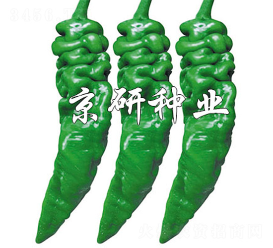 ����97-�����N��-����