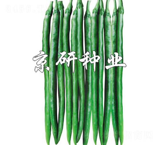 ����1629-�����N��-����