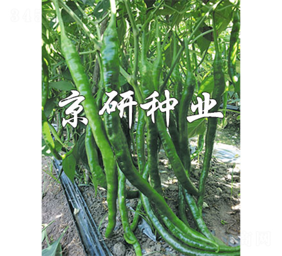 ����158-�����N��-����