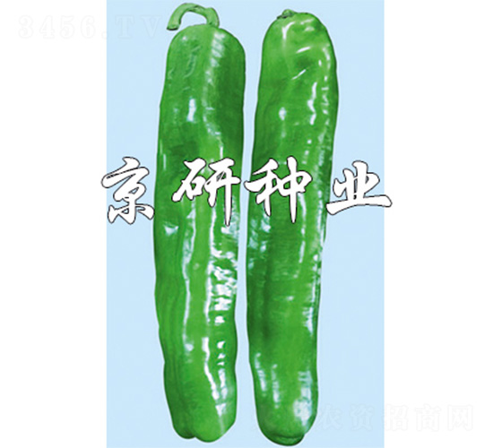 ����3̖(h��o)-�����N��-����