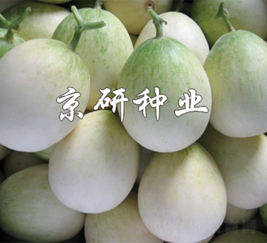 ����2008-��ϷN��-����