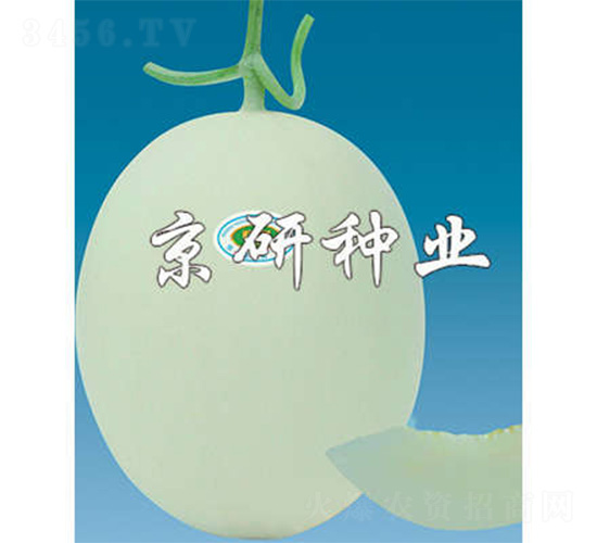 ����3̖-��ϷN��-����