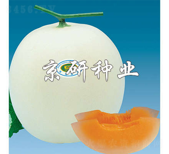 ����2̖-��ϷN��-����