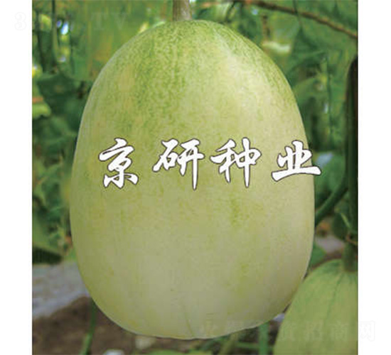 ����10̖-��ϷN��-����