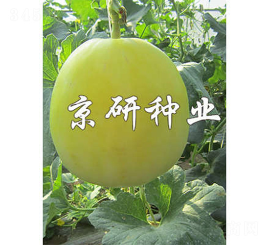 ����26-��ϷN��-����