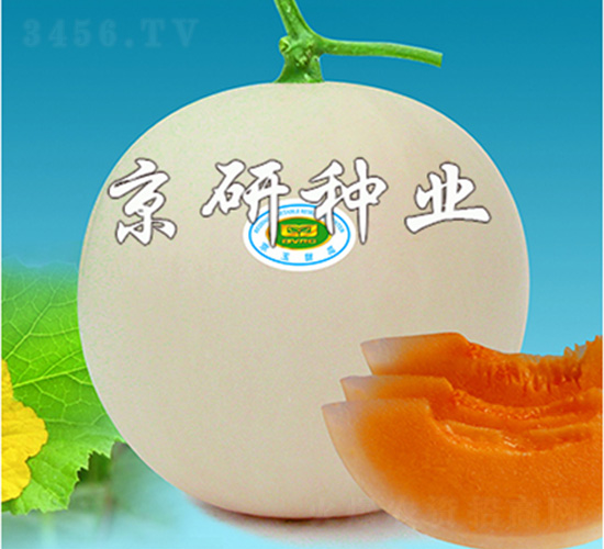 ��������-��ϷN��-����