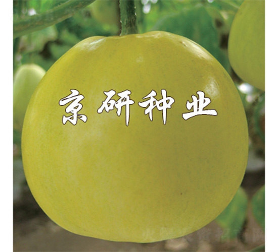 ����415-��ϷN��-����