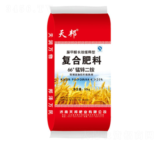 66���i�\���@-���-�f��