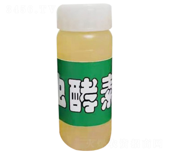 ���x(ch��ng)����-�r(n��ng)���L(f��ng)-��S��