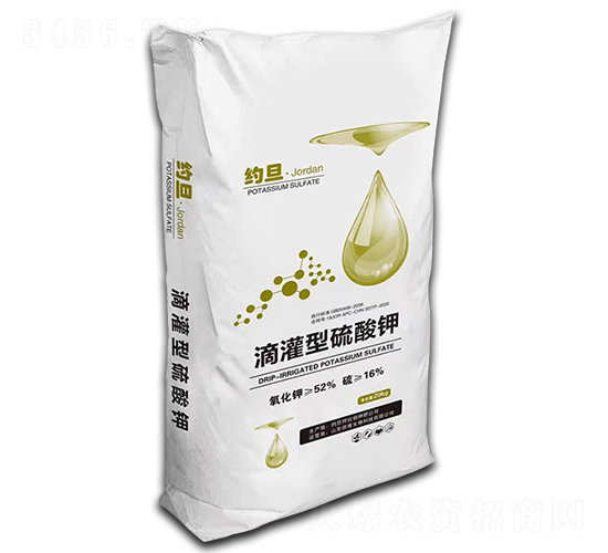 �ι��������-�s��-�︦����