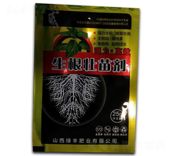 �������焩-�G�S�ʘI(y��)