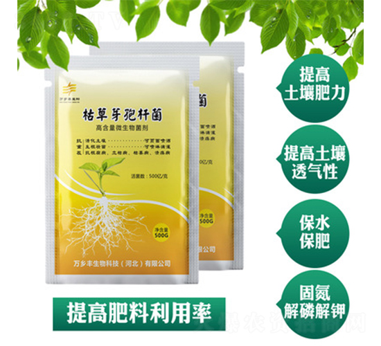 �ݲ�ѿ�ߗU��-�f�l(xi��ng)�S����