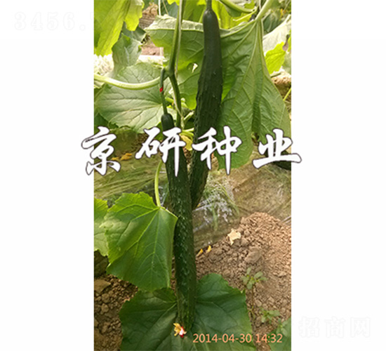 ���S16-�S�ϷN��-����