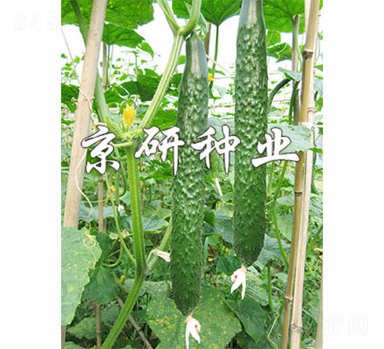 ���д���G2̖-�S�ϷN��-����