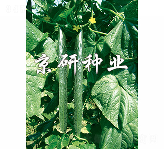 ����403-�S�ϷN��-����