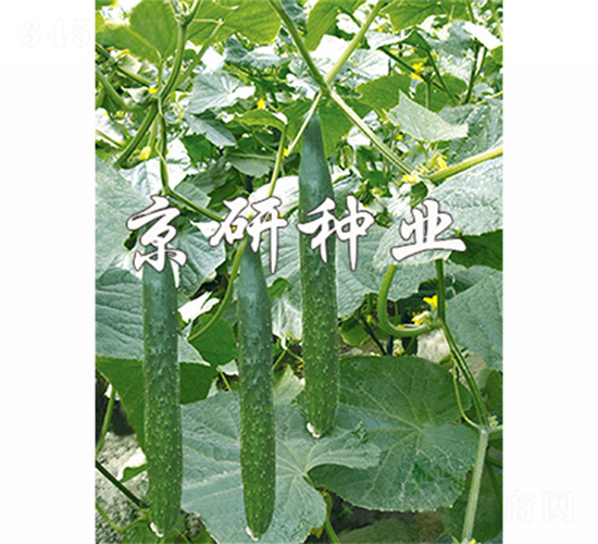 ����402-�S�ϷN��-����