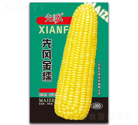 ���L(f��ng)��Ŵ-Ŵ���׷N��-���L(f��ng)