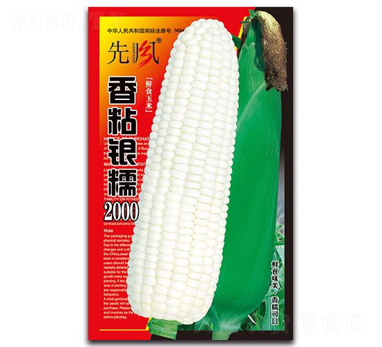 ��ճ�yŴ2000-Ŵ���׷N��-���L