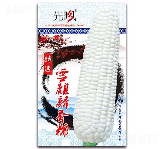 ѩ������Ŵ-��Ŵ���׷N��-���L(f��ng)