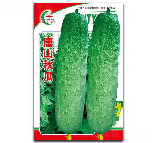 ��ɽ���-�S�ϷN��-���L(f��ng)