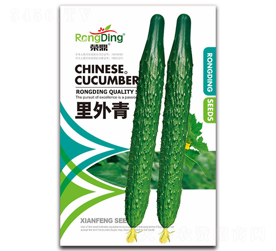 ������-�S�ϷN��-���L(f��ng)