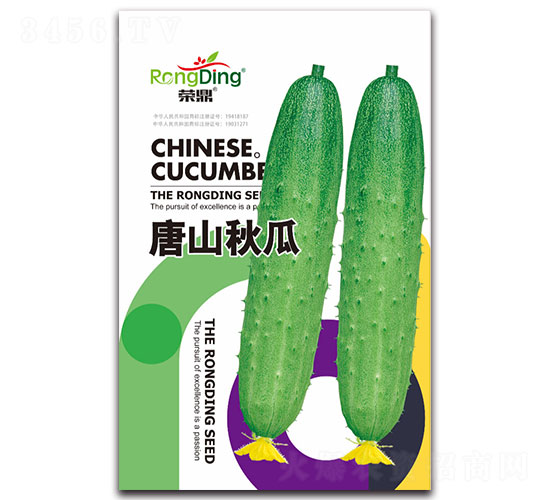 �s����ɽ���-�S�ϷN��-���L(f��ng)