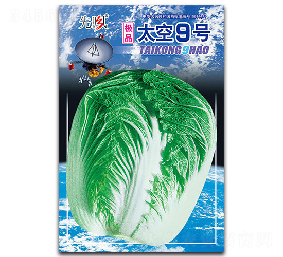 ̫��9̖-�ײ˷N��-���L